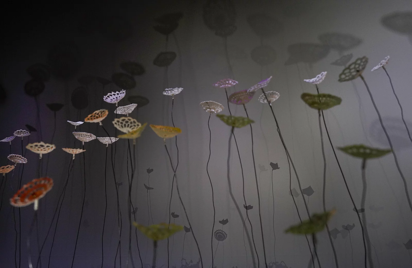 [  ] (c) Bastien Capela