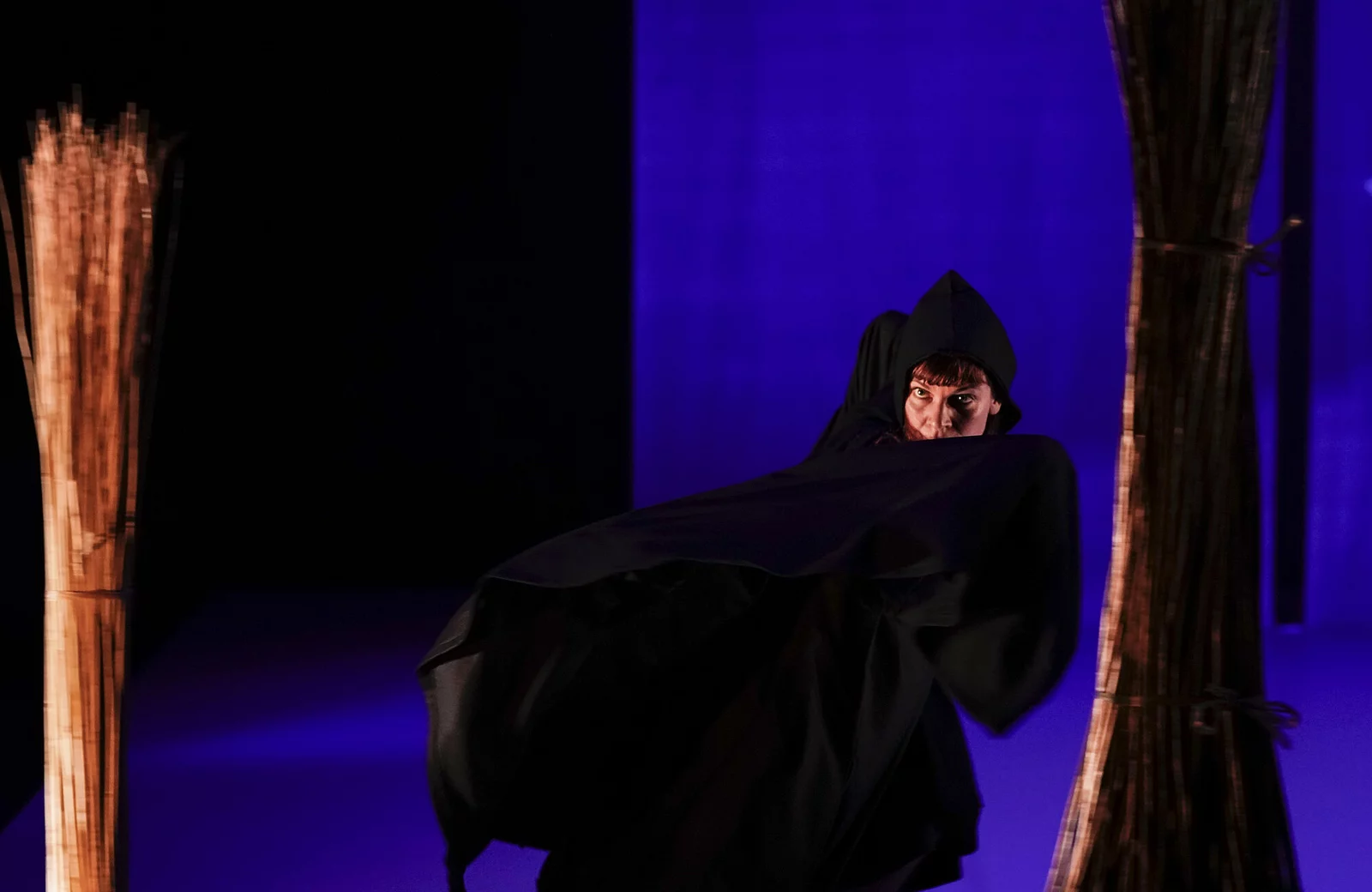 Spectacle de danse "Ronce" présenté par la compagnie Kokeshi durant la saison 24/25 de la CAPB KULTURA. Crédit Photo Bastien Capela