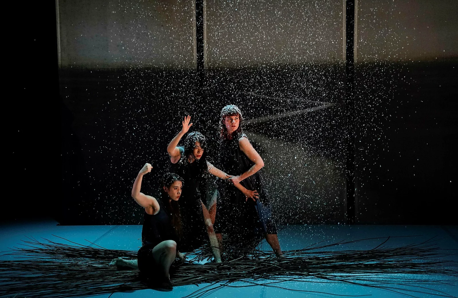 Spectacle de danse "Ronce" présenté par la compagnie Kokeshi durant la saison 24/25 de la CAPB KULTURA. Crédit Photo Bastien Capela