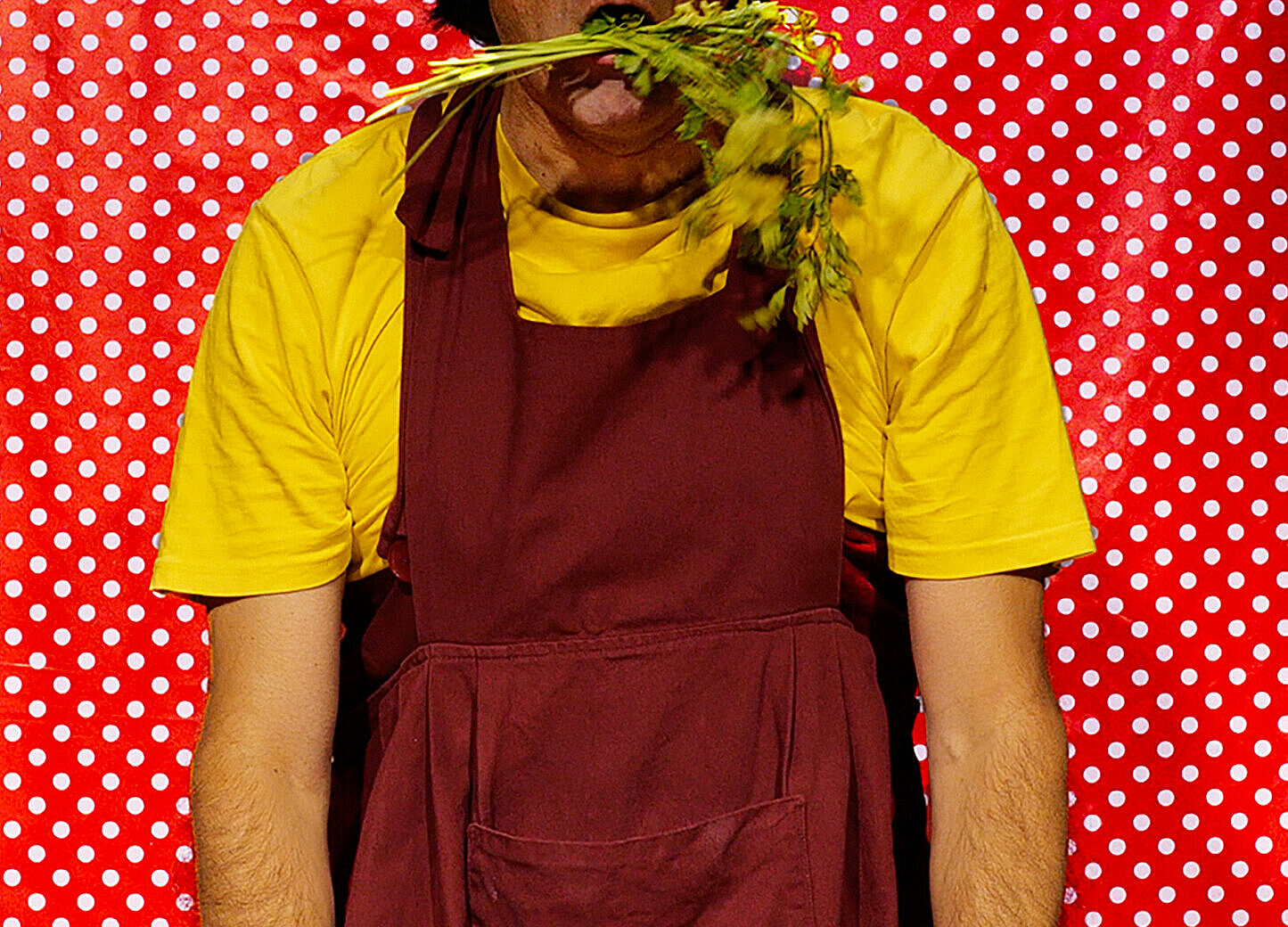 Spectacle de clown-magie "Sukaldari abileziak" présenté par la compagnie Lézard qui bougent durant la saison 25/26 de la CAPB KULTURA- crédit photo SooLee 