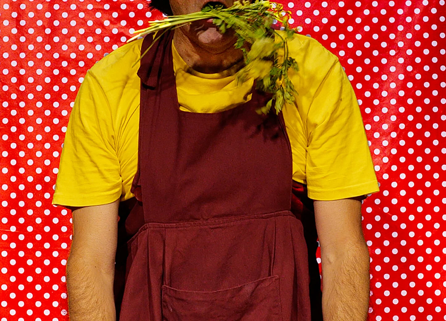 Spectacle de clown-magie "Sukaldari abileziak" présenté par la compagnie Lézard qui bougent durant la saison 25/26 de la CAPB KULTURA- crédit photo SooLee