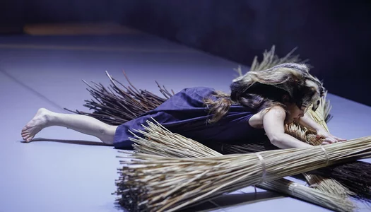 Spectacle de danse "Ronce" présenté par la compagnie Kokeshi durant la saison 24/25 de la CAPB KULTURA. Crédit Photo Bastien Capela